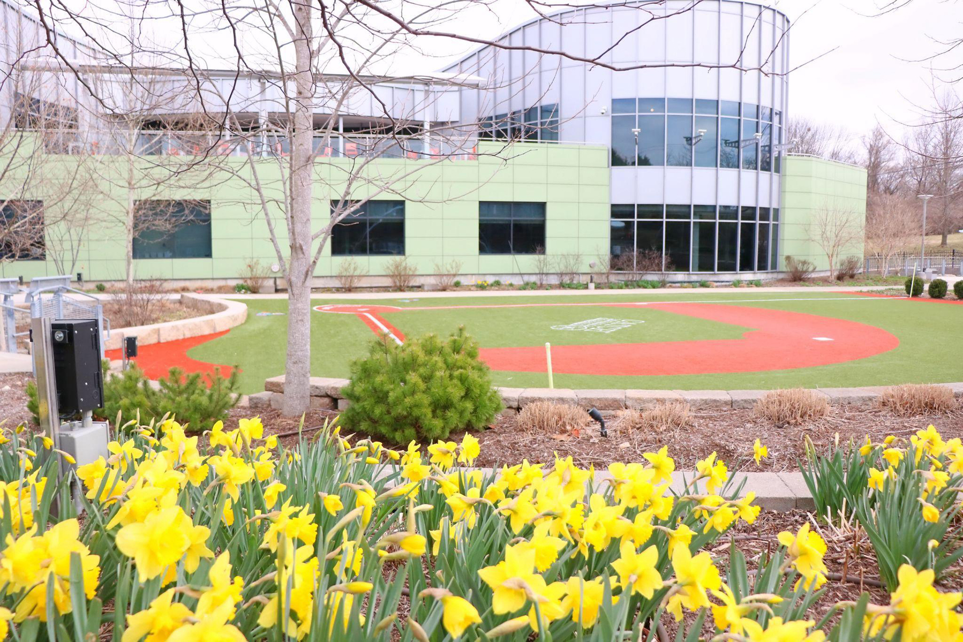 Baseball-Field